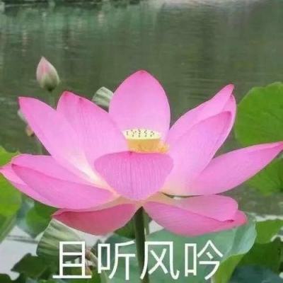 贵州省卫生健康委员会党组书记杨慧接受审查调查